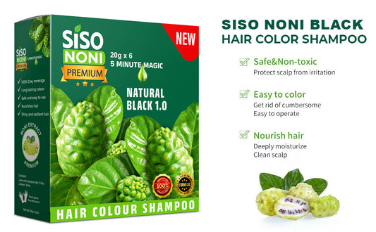 Siso Premium Noni Black Hair colour shampoo 20g Pack of 6
