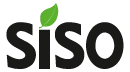 Siso
