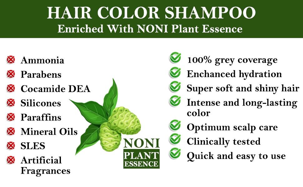 Buy BSY BSY Noni Hair Color Ammonia Free Magic Shampoo at Redfynd